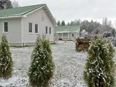 Staraya Sloboda - 29