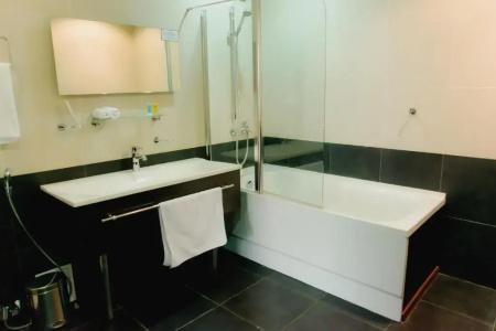 Sapar Standart - 41