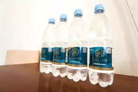 Azaliya Na Moskovskoj - 84