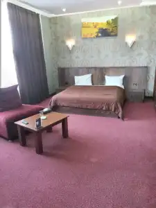 Caspian Business & Spa - 11
