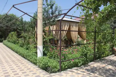 Asia Khiva - 2