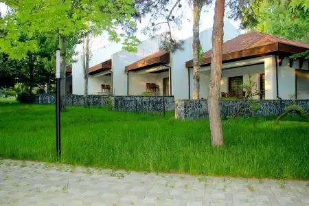 Arena Sheki - 1