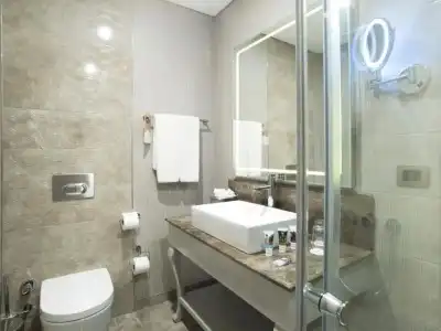 Mercure Tbilisi Old Town - 65