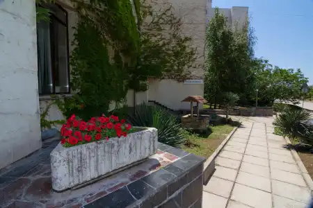 Yard - 4