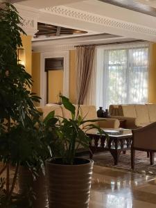 Samal Resort & Spa - 39