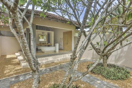 The Frangipani Tree by Edwards Collection - 95
