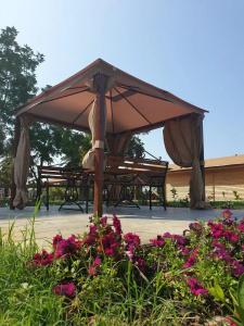 Grand Abkhaziya - 5