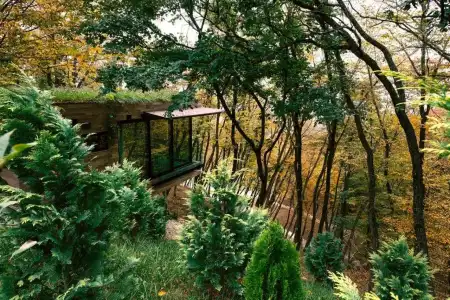 Bioli Wellness Resort - 14