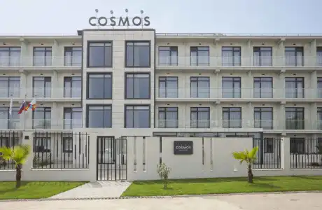 Cosmos - 1