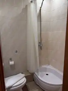 Sapsan - 12