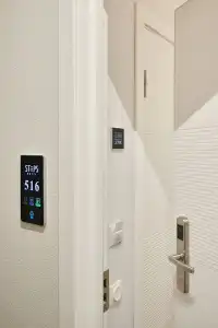 STEPS - 15