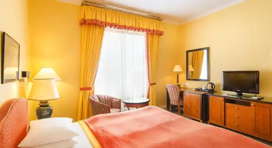 Dvorak Spa & Wellness - 28