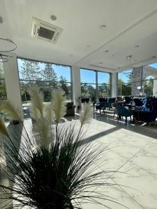 Grand Sapphire - 31