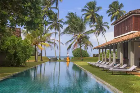 The Frangipani Tree by Edwards Collection - 15