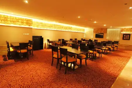 Golden Ocean - 9