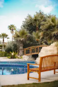 Dubai Marine Beach Resort & Spa - 4
