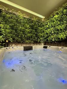 Design & Private Spa – Tbilisi Edition - 1