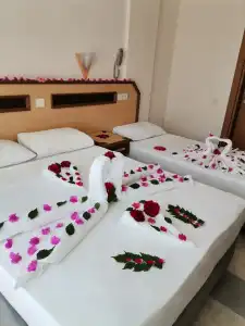 Side Ozgurhan - 50