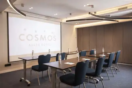 Cosmos - 42