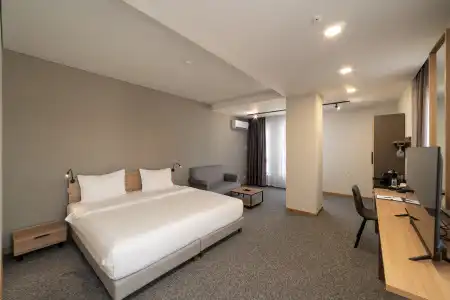 Ambassador - 29