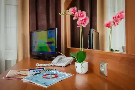 Best Western Plus Centre - 104