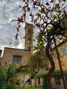 New Generation Hostel Florence - 8