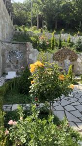 Amrots Deghceni - Boutique Castle Stay - 8