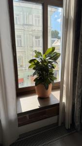 Okno Apart-hotel - 130