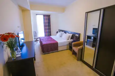Ani Central Inn - 21