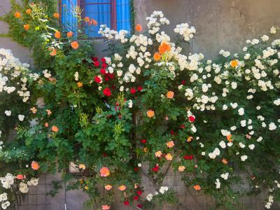 Hillside Guest house - 48