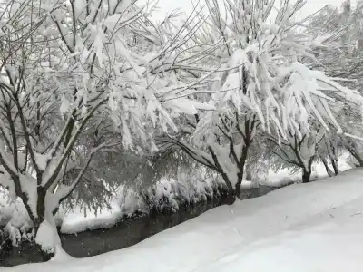 Domiki v Zavetah Tourist base - 31