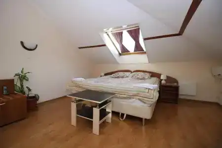 Usadba Pleshanova - 118