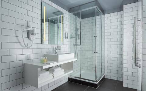 Holiday Inn St Petersburg - Theatre Square - 105