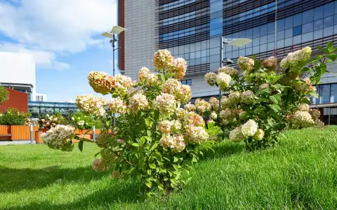 Hayatt Ridzhensi Ekaterinburg - 5