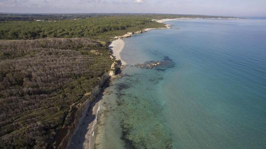 Masseria Mongiò dell'Elefante - 23