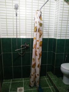 Voyazh Mini-Hotel - 15