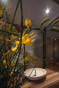 Boutique Hippocampus - 37