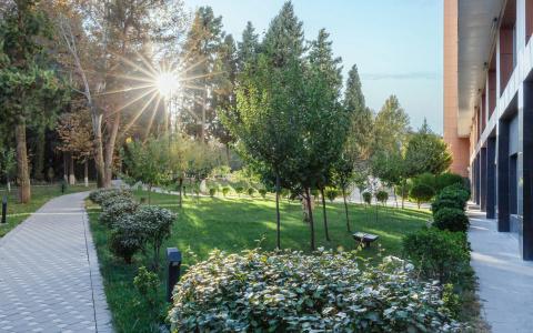 Chinar Health Naftalan - 17