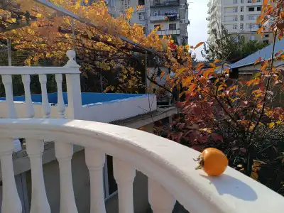 Eco-friendly Why Me Tbilisi Guest House - 7