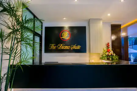 The Diana Suite - 17