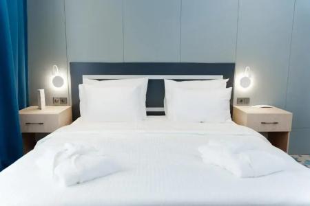 Park Dedeman Almaty - 55