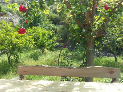 Sun Dalyan & Yeni Adet Organic - 59