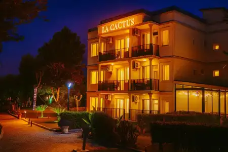 La Cactus Boutique - 9