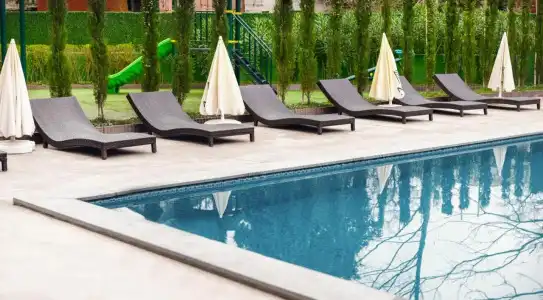 Next Green Official - 6