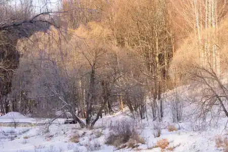 Just Wood recreation - 159