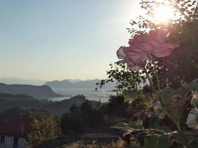 Sun Dalyan & Yeni Adet Organic - 43