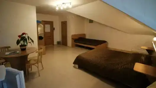Tsarevna Lyagushka Guest house - 11