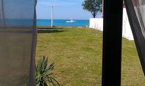 SABA - 8
