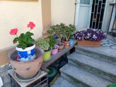 Once upon in old Tbilisi Cottage - 12