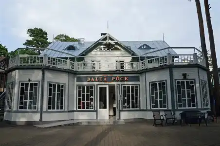 Balta Puce - 9